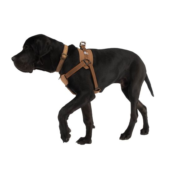 Harnais d'entra&icirc;nement nylon Duck pour chiens Image NaN
