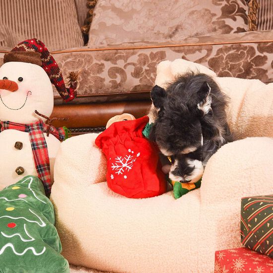 Jouet en peluche couineur sac-cadeau pour chiens Image 6.0