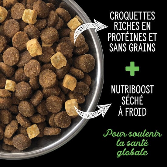 Nourriture sèche sans grains « Vallée du Fraser » pour chiots Image NaN