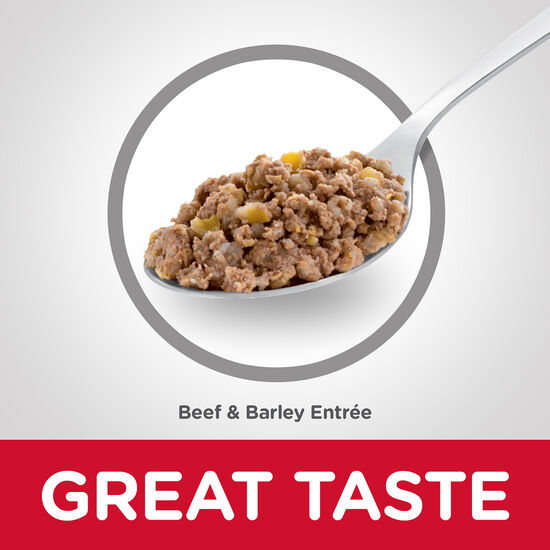 Senior 7+ Beef & Barley Entrée Dog Food, 370 g Image NaN
