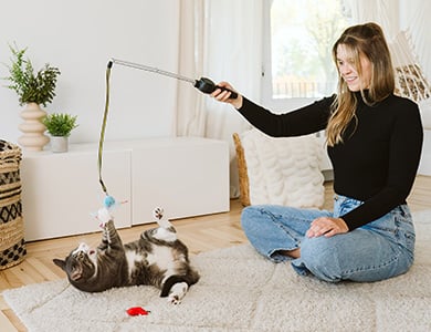Chat qui joue avec un agace-chat