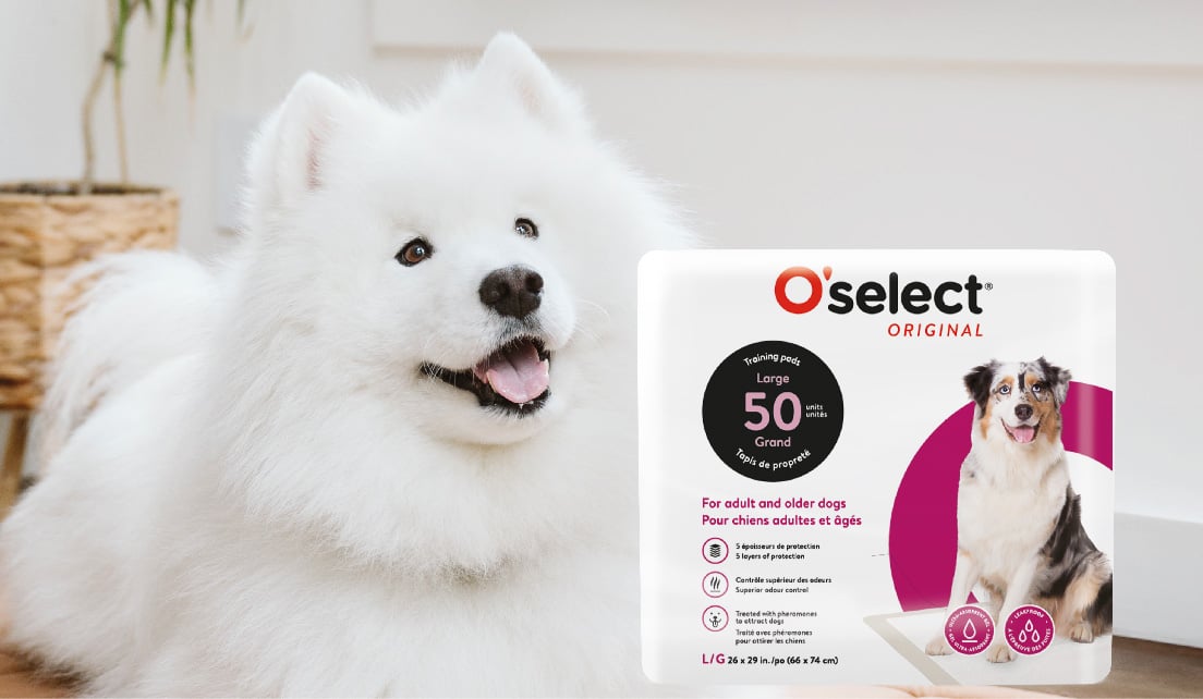 Litière de maïs O'select