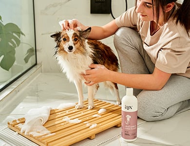 Un chien qui prend un bain