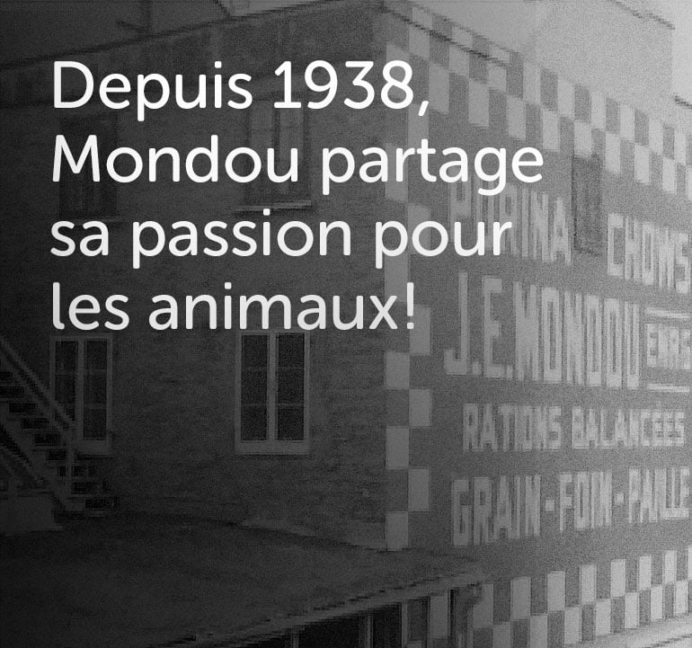 Since 1938, Mondou shares its passion for animals!