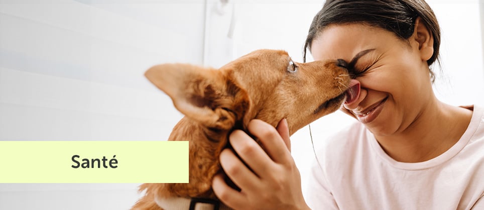 10 causes de la mauvaise haleine chez le chien ou le chat
