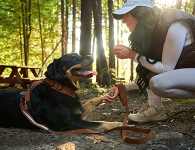 Randonnée en montange avec son chien