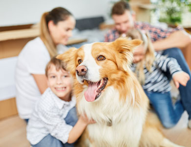 chien avec famille
