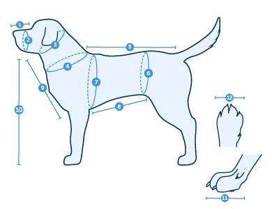 dog measurement chart