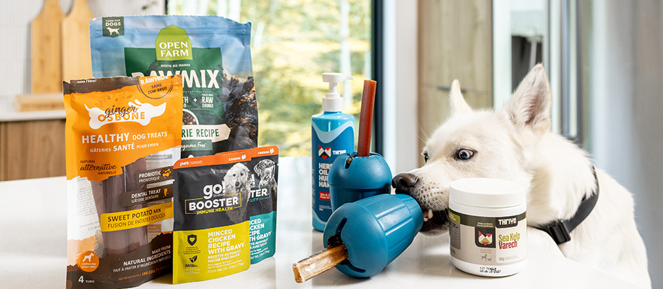 Les Recettes Mondou : 2 façons de garnir le OBEE! Stuff pour chiens