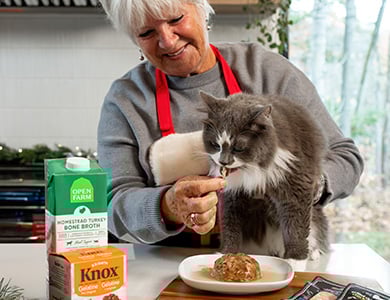 Ingrédients de la recette de noël pour pour chats