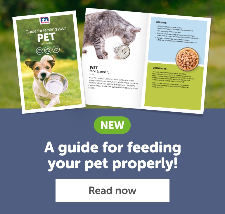 Nutrition month, a guide for feeding your pet properly!