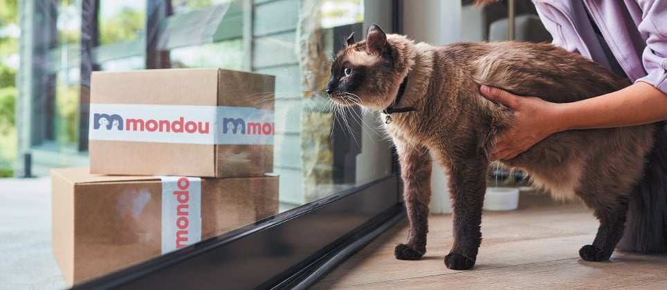 Livraison automatique chez Mondou : comment choisir la bonne fr&eacute;quence de nourriture