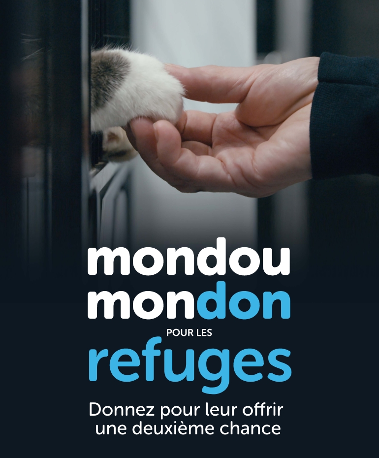 Mondou Mondon pour les refuges | Donnez pour leur offrir une deuxième chance