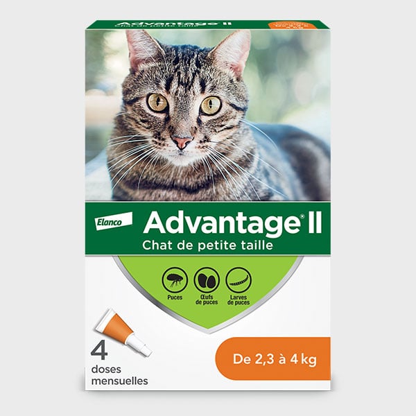 Advantage® II - Protection pour votre chat, Advantage® II tue les puces