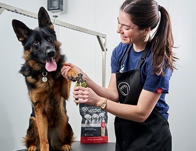Service Coupe-griffes Mondou