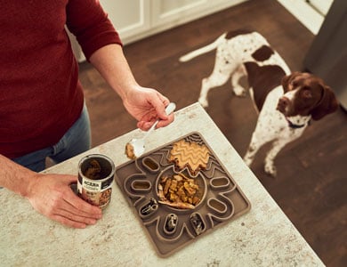 homme qui met de la nourriture crue sur un tapis de léchage et chien braque français en arrière-plan