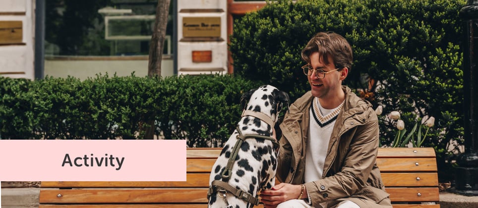 Urban day at Hôtel Gault with your dog