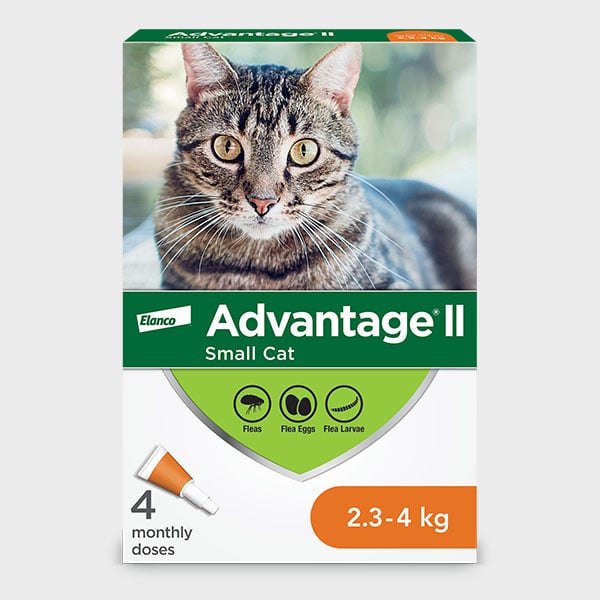 Advantage® II - Protection for your cat, Advantage® II kills fleas and lice