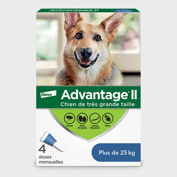 Advantage® II - Protection pour votre chien, Advantage® II tue les puces et les poux