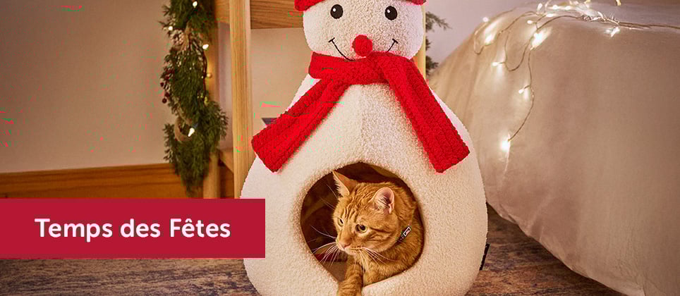 Les meilleures idées-cadeaux pour chats