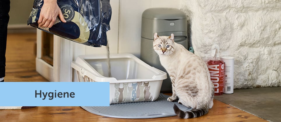 The ultimate guide to picking the best litter box for your cat
