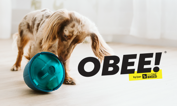 BeOneBreed OBEE!