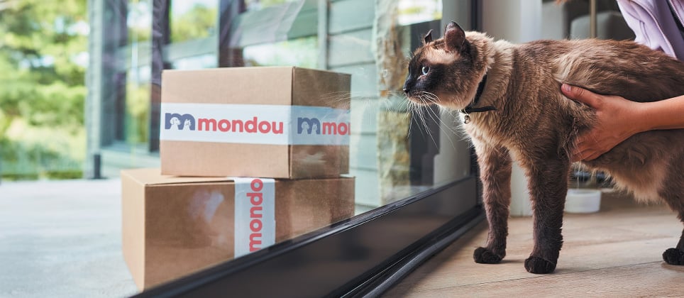 Livraison automatique chez Mondou : comment choisir la bonne fr&eacute;quence de nourriture