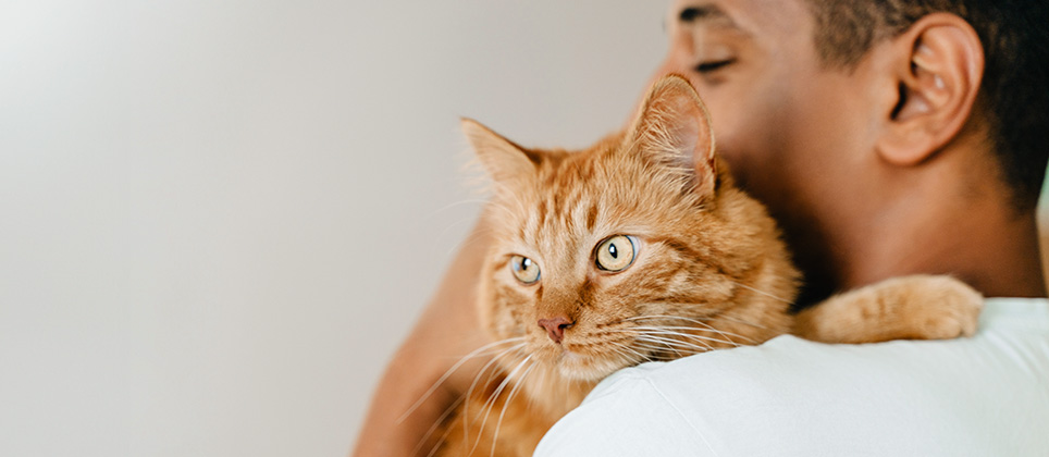 Adopting a pet? Ask yourself these 5 vital questions first