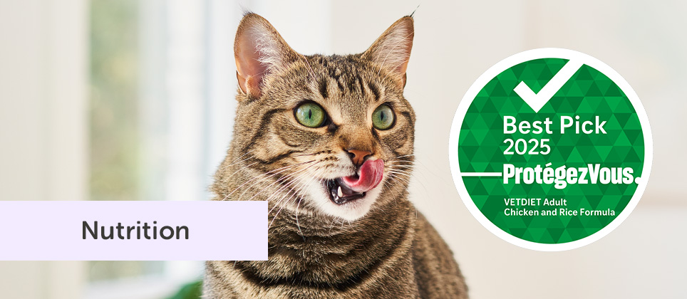 Which cat food should you choose? Protégez-Vous recommends two Vetdiet recipes