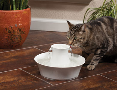 chat tigré buvant de l'eau d'un bol fontaine blanc posé sur un sol de céramique