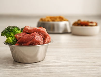 un bol métallique en avant-plan avec viande crue et brocoli et deux bols métalliques avec de la nourriture en arrière-plan