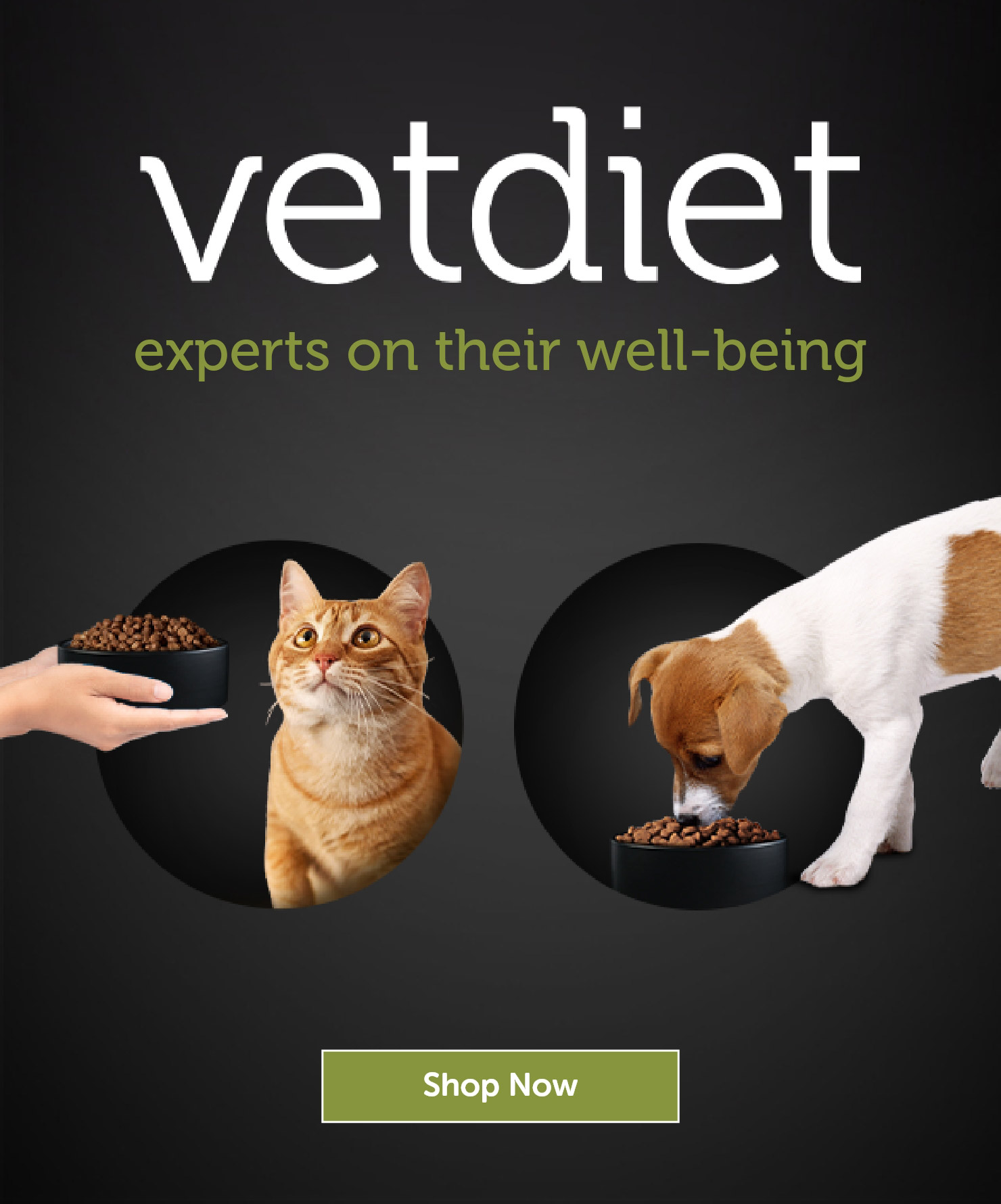 Vetdiet: experts on their well-being