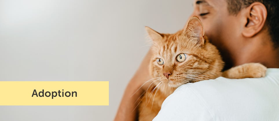 Adopting a pet? Ask yourself these 5 vital questions first