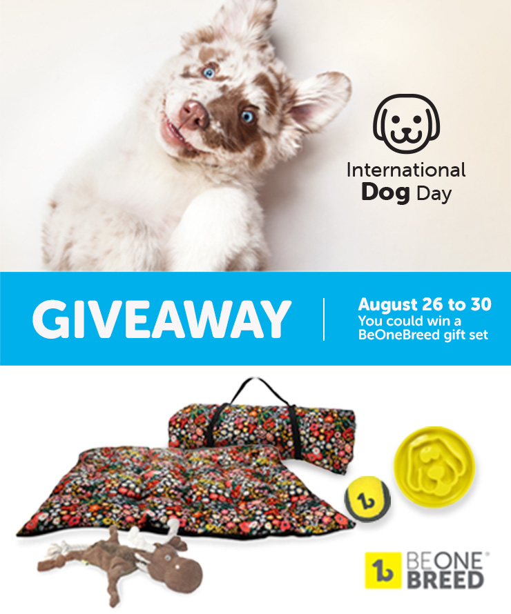 International Dog Day