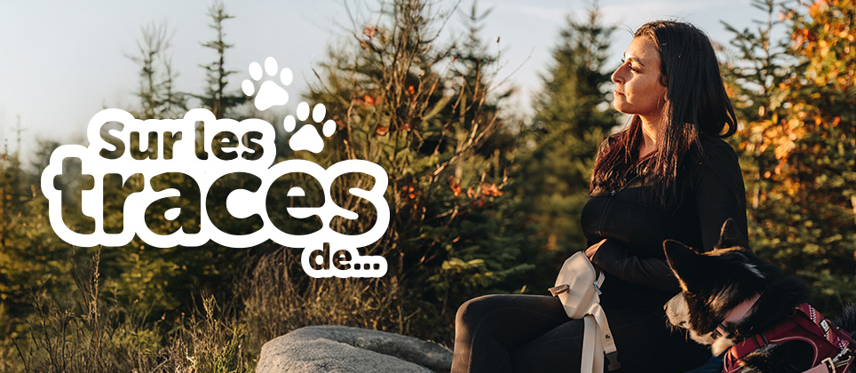 Randonnée en forêt avec son chien au Mont Hereford