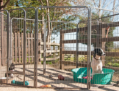 Un parc pour animaux dans votre cour!