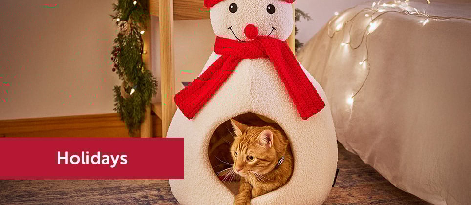 The best gift ideas for cats