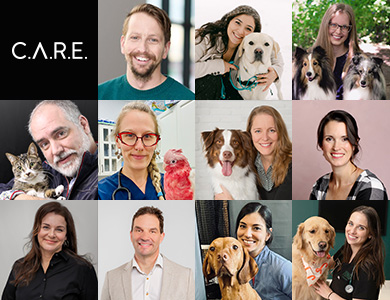 Membres du comité CARE