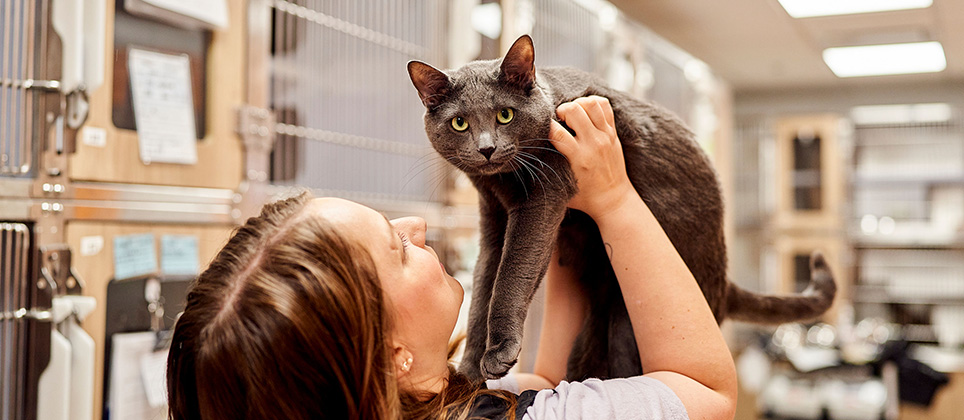 Mondou Mondon for the shelters: an 8th edition beyond expectations