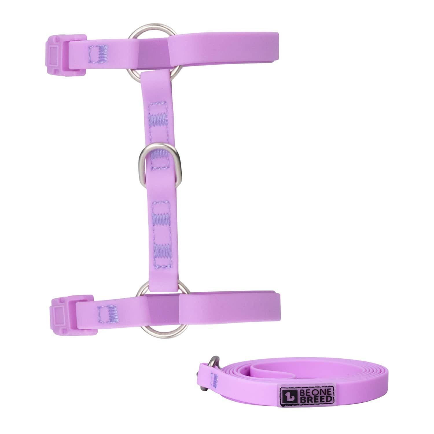 Ensemble harnais et laisse en silicone pour chats BeOneBreed