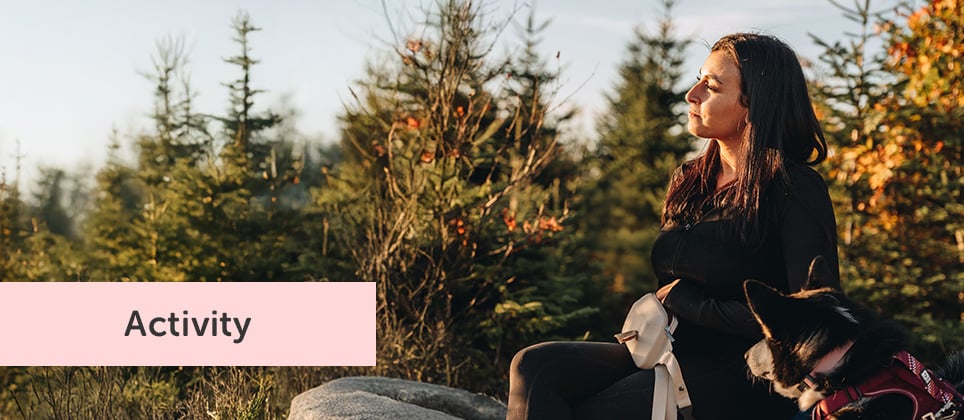 A forest hike with your dog at Mount Hereford