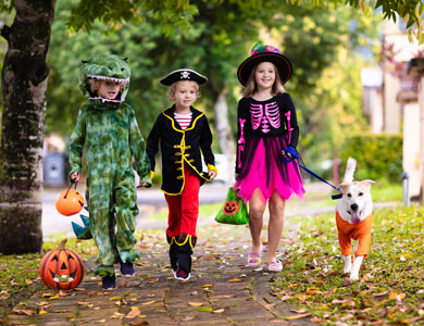 Three children wearing costumes and walking a dog along the pavement