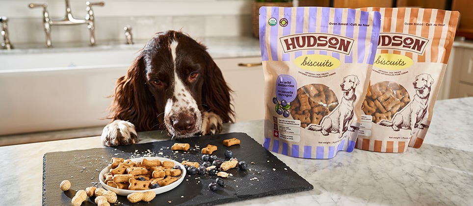 Hudson : nouvelle marque de gâteries pour chiens en exclusivité chez Mondou