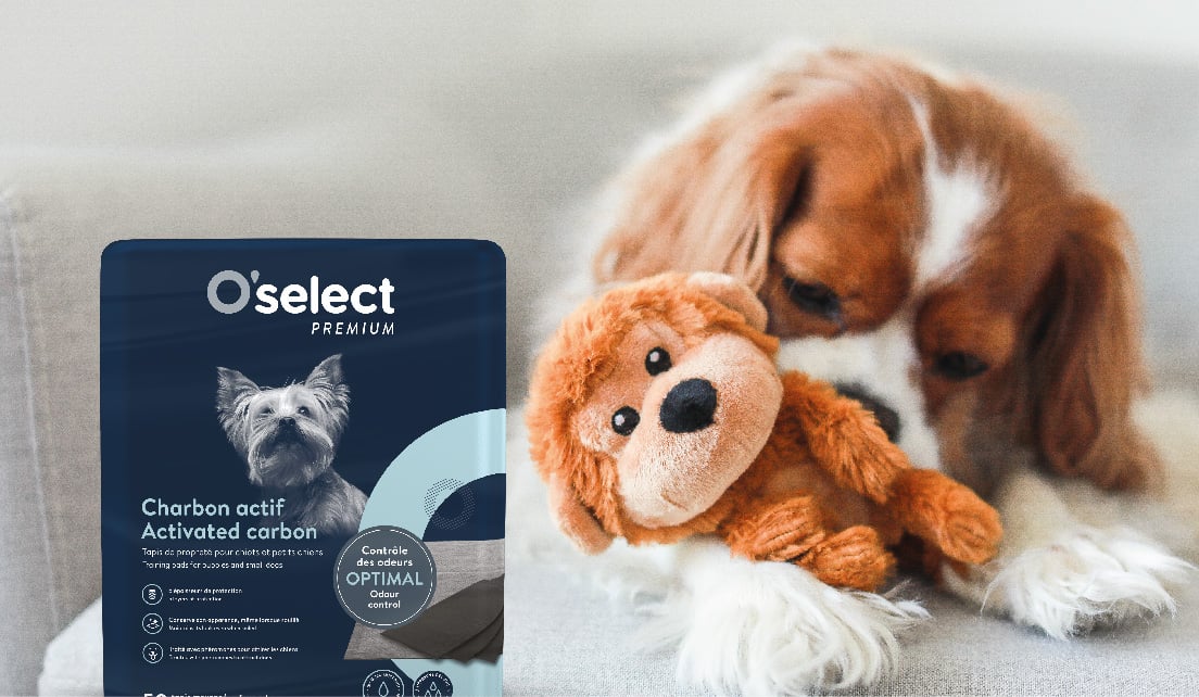 Tapis de propreté au charbon actif