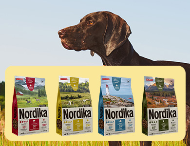 La gamme de nourriture sèche pour chiens Nordika
