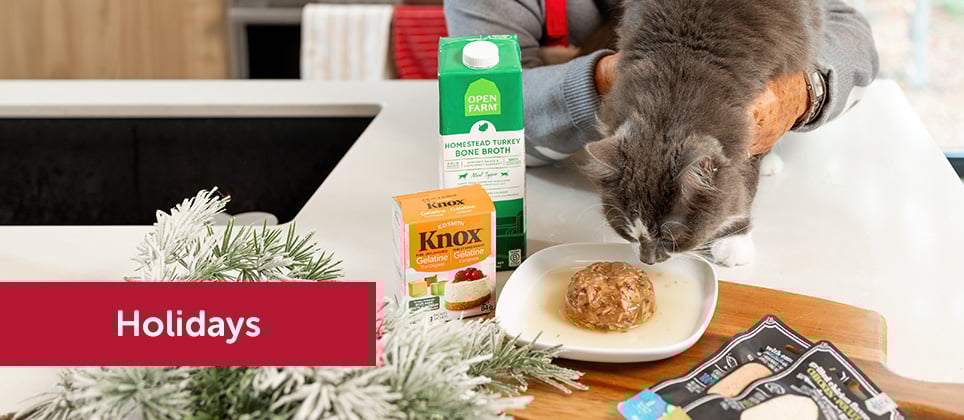 Mondou Recipes: Festive tuna aspic for cats