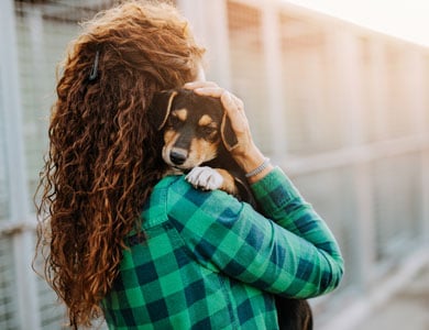 chiot dans les bras d'une femme