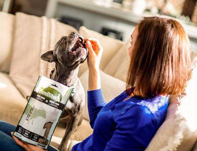 a woman feeds dehydrated food to a dog