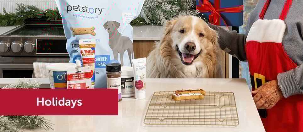 Mondou Recipes: Christmas cookies for dogs