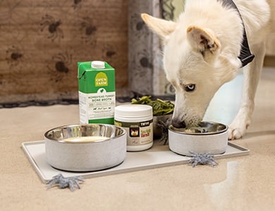 Ingrédients de la recette Halloween pour chiens